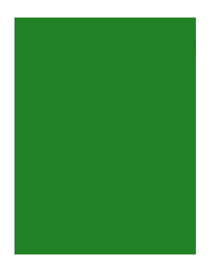 Fieltro Tucán, 25 hojas, Verde Oscuro