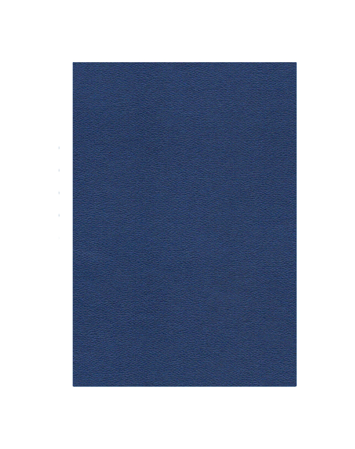 Pliego Cáscara de Huevo, 10 unidades, Azul Oscuro