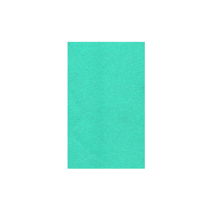 Hoja Cáscara Huevo, Oficio, 50 unidades, Turquesa