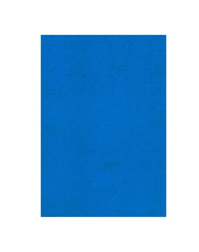Pliego Cáscara de Huevo, 10 unidades, Azul