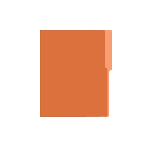 Folder Carta Bold Office, 25 unidades, Anaranjado