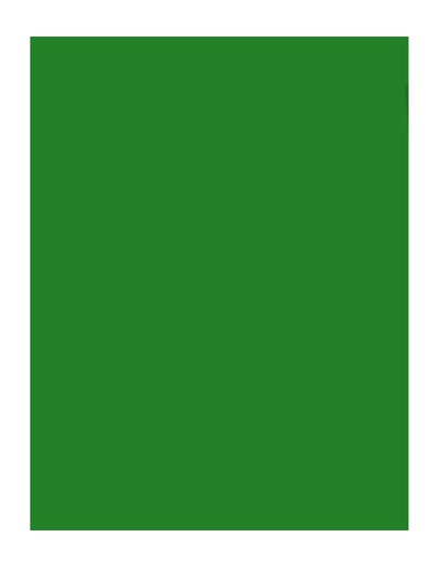 Fieltro Tucán, 25 hojas, Verde Oscuro