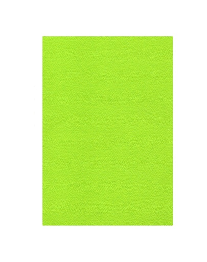 Pliego Cáscara de Huevo, 10 unidades, Verde Limón