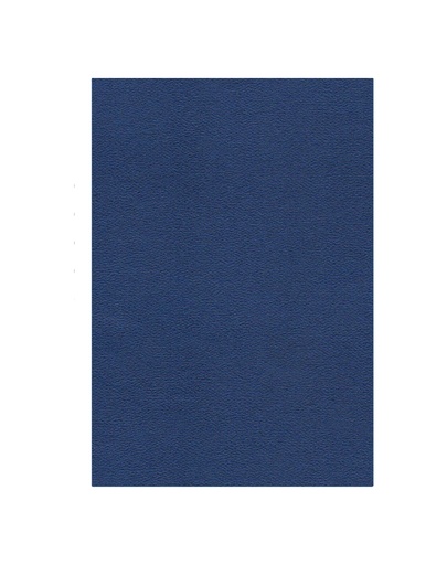 Pliego Cáscara de Huevo, 10 unidades, Azul Oscuro