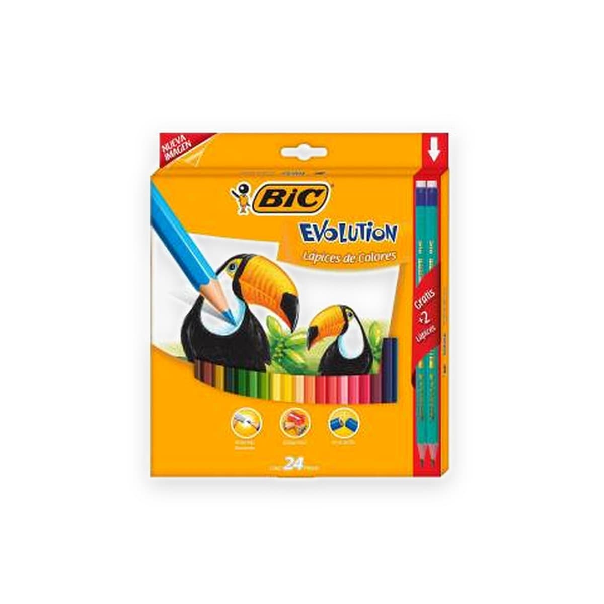 Crayón Bic Evolution, 24 colores, Largo