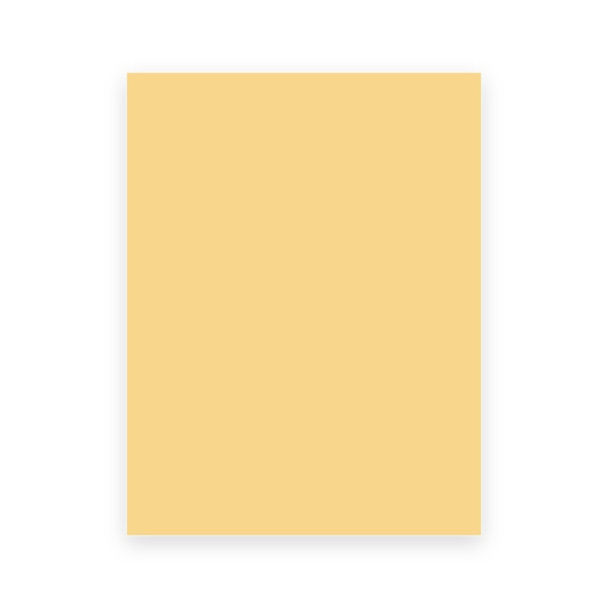 Fieltro Tucán, 25 unidades, Beige