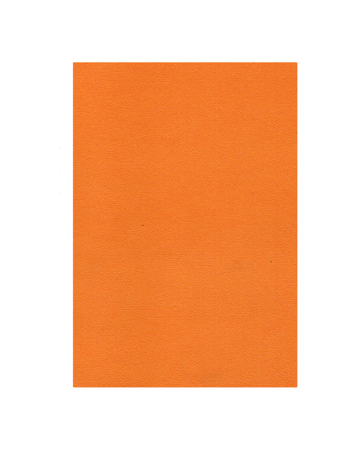 Pliego Cáscara de Huevo, 10 unidades, Anaranjado