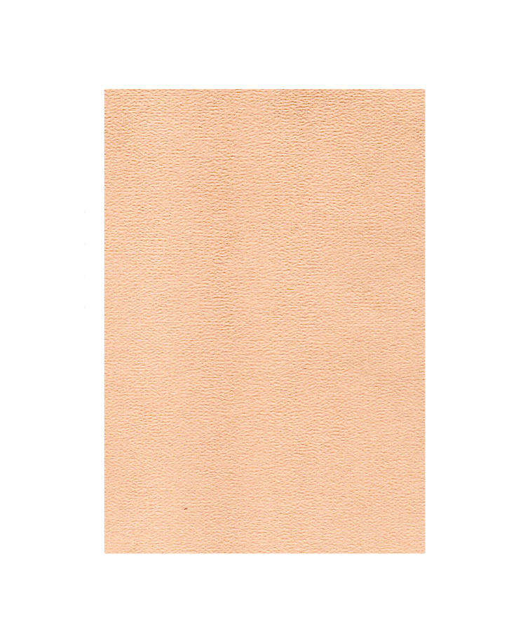 Pliego Cáscara de Huevo, 10 unidades, Piel