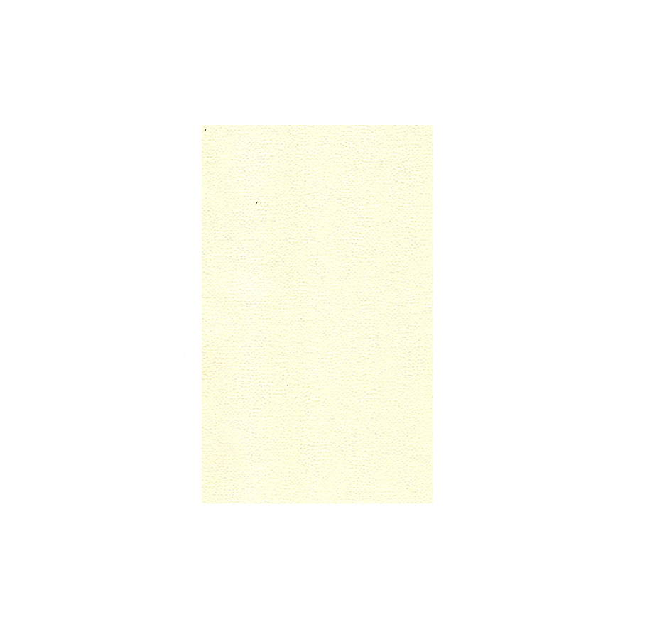 Hoja Cáscara Huevo, Oficio, 50 unidades, Crema