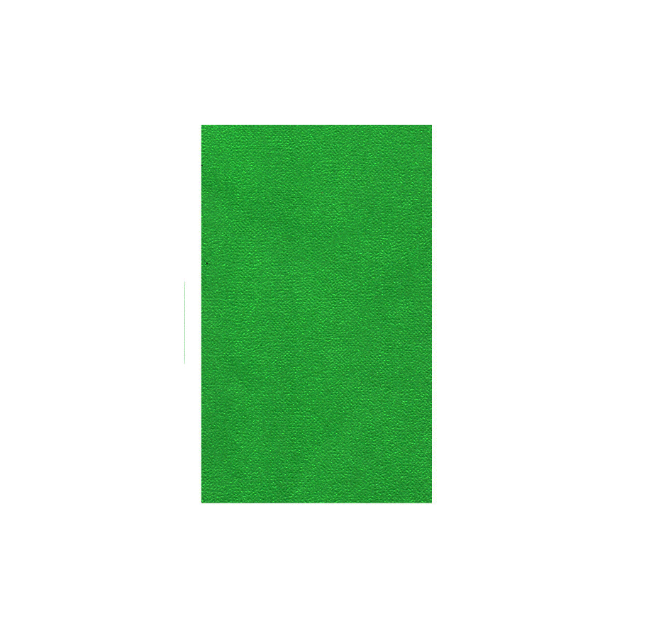 Hoja Cáscara Huevo, Oficio, 50 unidades, Verde