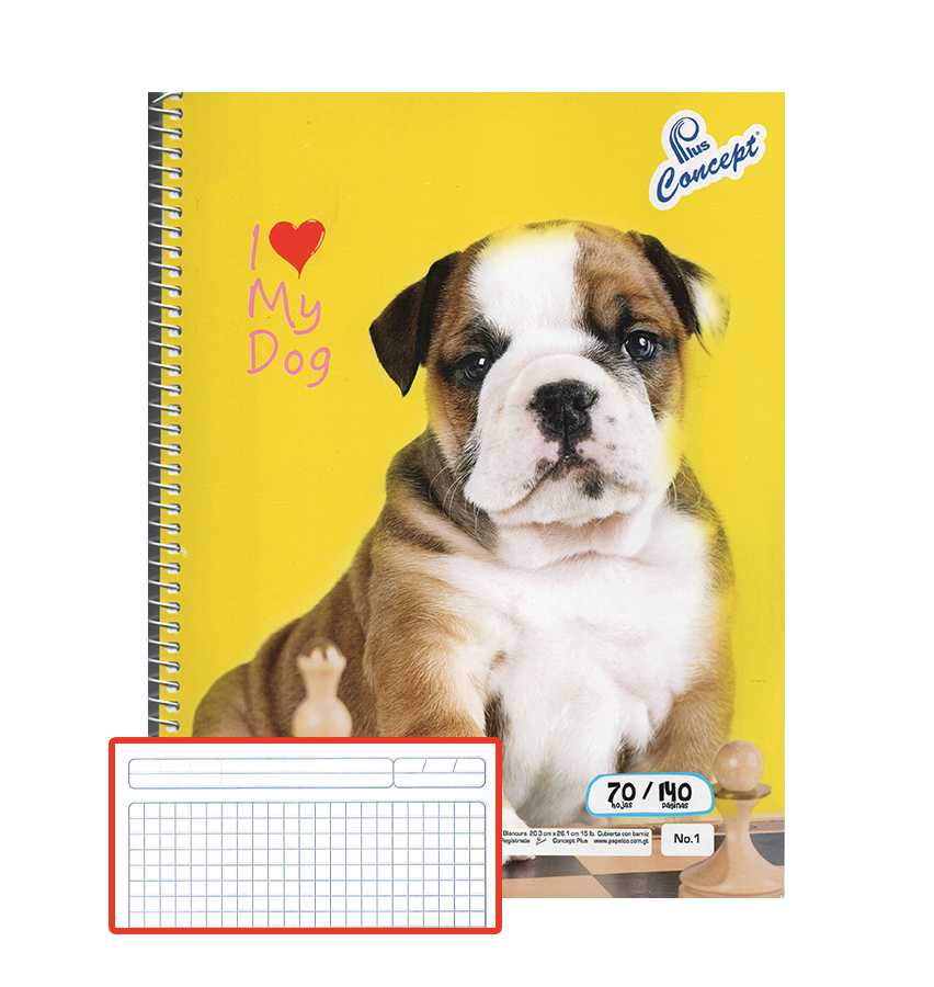 Cuaderno Espiral Concept, 1 anillo, 70H, Cuadros