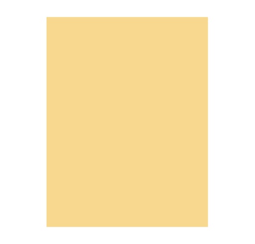 Fieltro Tucán, 25 unidades, Piel